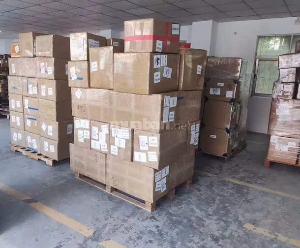  CẦN 5 CHỊ EM ĐÓNG GÓI, KIỂM, SOẠN HÀNG 