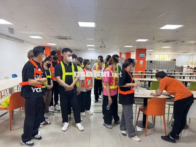 LƯƠNG NGÀY ĐÓNG GÓI TÃ SỮA MỸ PHẨM VISIP