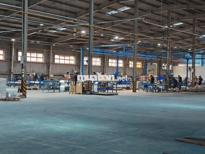 TUYỂN 15 NAM LAO ĐỘNG PHỔ THÔNG (TẠI BÌNH CHUẨN)