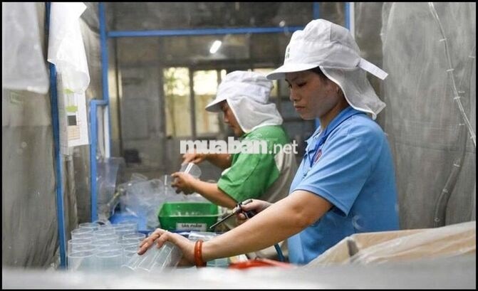 C/TY NHỰA *** 40 NAM NỮ ĐI LÀM NGAY