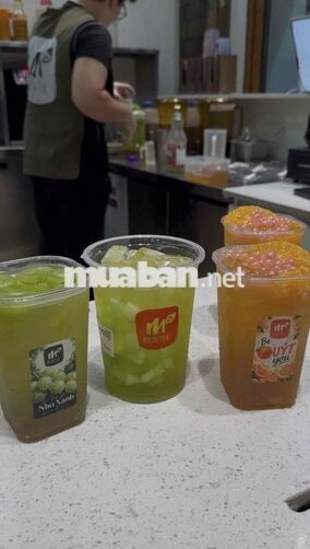 MAIN TEA TUYỂN DỤNG – NHÂN VIÊN PHA CHẾ 🍵