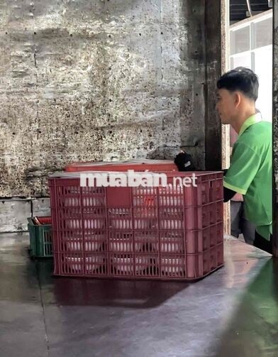 CTY PHÚ TÂM AN - SUẤT ĂN CN *** 30 LĐPT