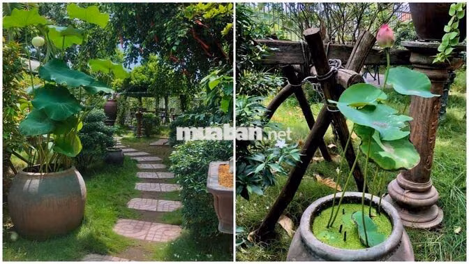 ĐỒNG ĐỘI PHỤC VỤ&PHA CHẾ-CAFE THẾ LỮ 66,BÌNH CHÁNH