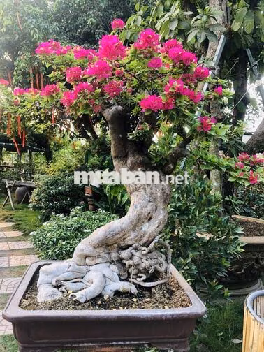 ĐỒNG ĐỘI PHỤC VỤ&PHA CHẾ-CAFE THẾ LỮ 66,BÌNH CHÁNH