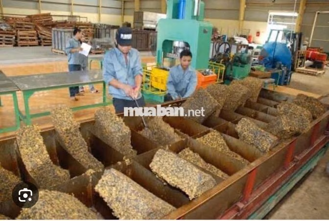 Tuyển Công nhân bao ăn ở