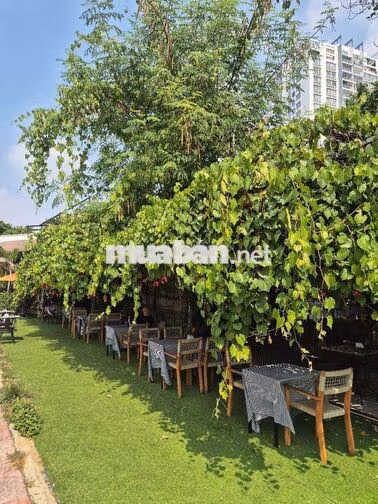 CẦN PHỤ BẾP, PHỤC VỤ, PHA CHẾ