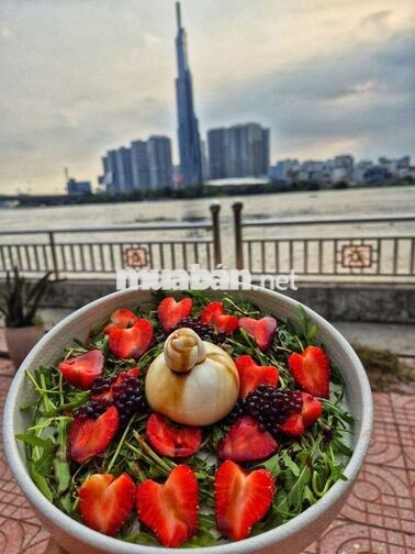 CẦN PHỤ BẾP, PHỤC VỤ, PHA CHẾ