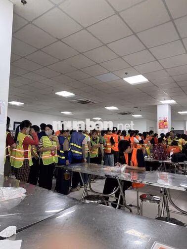 JNT LONG BÌNH - THỜI VỤ KHO LƯƠNG NGÀY 450K/NGÀY
