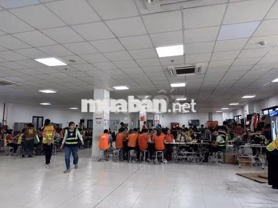 JNT LONG BÌNH - THỜI VỤ KHO LƯƠNG NGÀY 450K/NGÀY