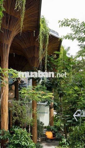 Thuê kế toán tổng hợp