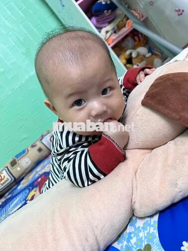cần 2 ky thuật máy tính