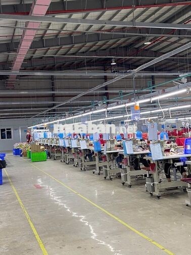 🚨 GERMTON QUẾ SƠN – T.U.Y.Ể.N D.Ụ.N.G LIÊN TỤC! 🚨