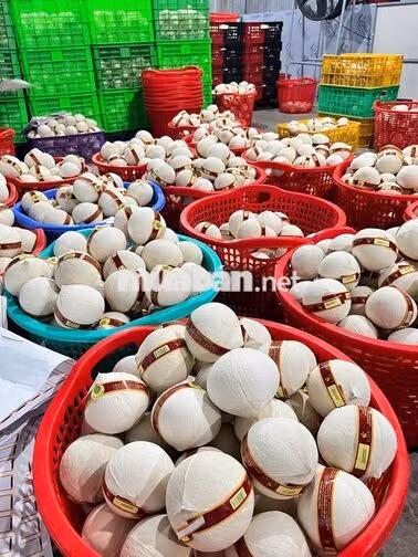 TUYỂN DỤNG KẾ TOÁN KHO