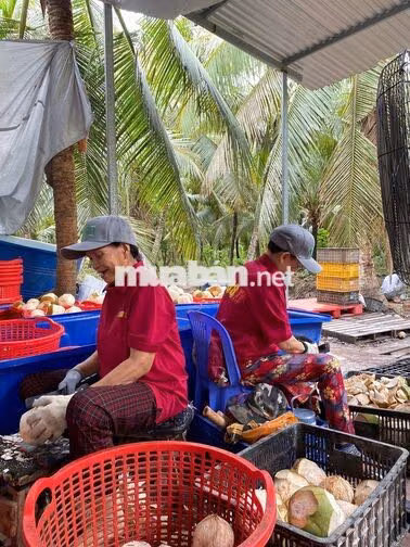 TUYỂN DỤNG KẾ TOÁN KHO