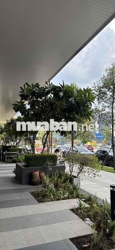 QUẢN LÝ NHÀ HÀNG TIẾNG TRUNG LƯU LOÁT