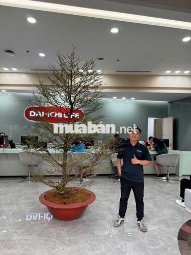 TUYỂN NAM NV CHĂM SÓC CÂY XANH