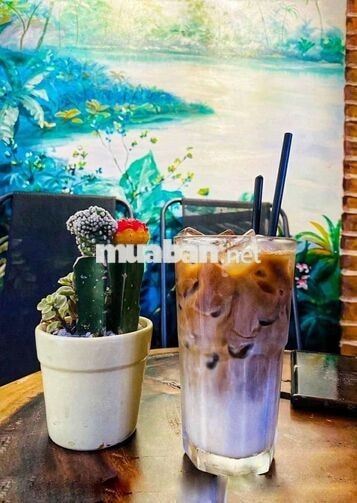 Tuyển Dụng Phục Vụ Pha Chế Lyon Coffee Quận 11