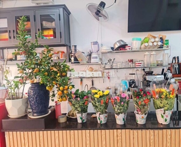 CẦN TUYÊN NHÂN VIÊN PHỤ QUÁN COFFEE LƯƠNG CAO Q.3