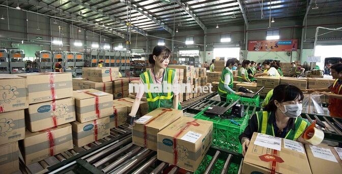 LƯƠNG NGÀY - ĐÓNG GÓI HÀNG MỸ PHẨM SỮA TÃ GIA DỤNG