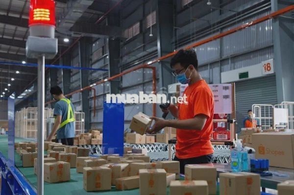 ĐÓNG GÓI HÀNG - THƯỞNG 1TR4 tại Hòa Khánh