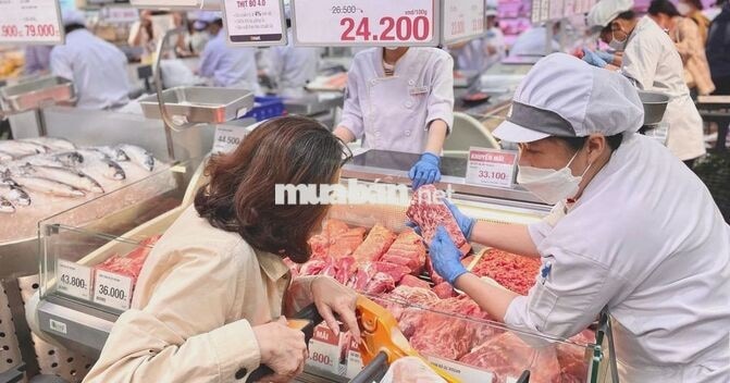 NHÂN VIÊN CHẾ BIẾN VISSAN_BAO CƠM_THƯỞNG 2TR2