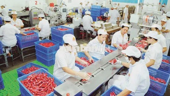 NHÂN VIÊN CHẾ BIẾN VISSAN_BAO CƠM_THƯỞNG 2TR2