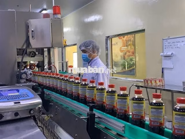 [HIỆP PHƯỚC] THỜI VỤ CHẾ BIẾN BAO CƠM  CA 12H