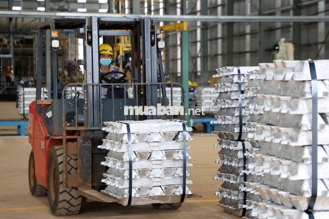 Tài xế lái xe nâng Đào tạo & Bao ăn ở cho NV ở xa)