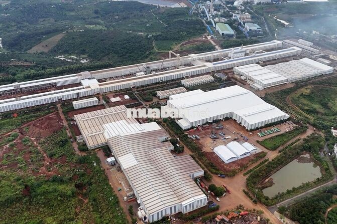 Tài xế lái xe nâng Đào tạo & Bao ăn ở cho NV ở xa)