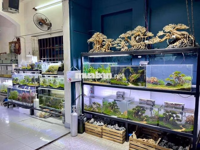 NHÂN VIÊN CHĂM SÓC HỒ THUỶ SINH
