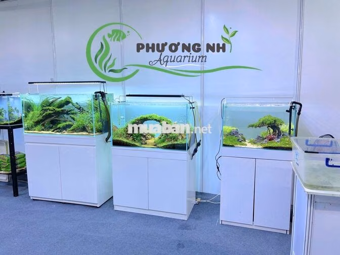 NHÂN VIÊN CHĂM SÓC HỒ THUỶ SINH