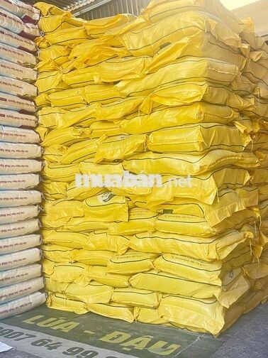NHÂN VIÊN KINH DOANH O QUẬN 12 & HÓC MÔN
