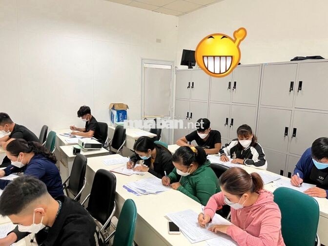 Tuyển Phụ kho vật tư (An Hải, Đà Nẵng)