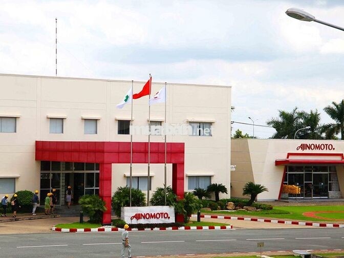 Công Nhân Vận Hành Máy (Long Thành, Đồng Nai)