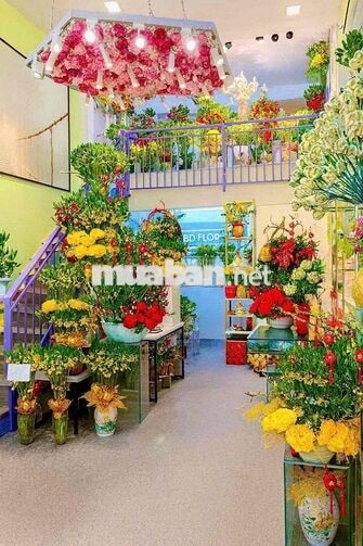 BD FLORIST TUYỂN GIA CÔNG CÂY PHÁT TÀI