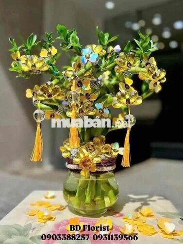 BD FLORIST TUYỂN GIA CÔNG CÂY PHÁT TÀI