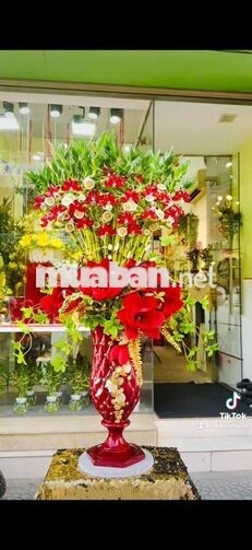 BD FLORIST TUYỂN GIA CÔNG CÂY PHÁT TÀI