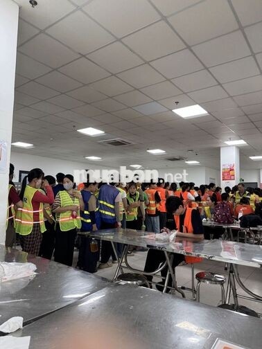 LUO/NG SAU 48H - THỜI VỤ KHO SÀN ĐỒNG AN 2 (600k)