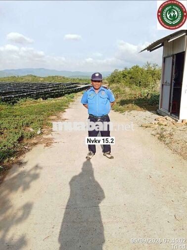 Tuyển dụng nhân viên bảo vệ - ĐMT Trung Nam