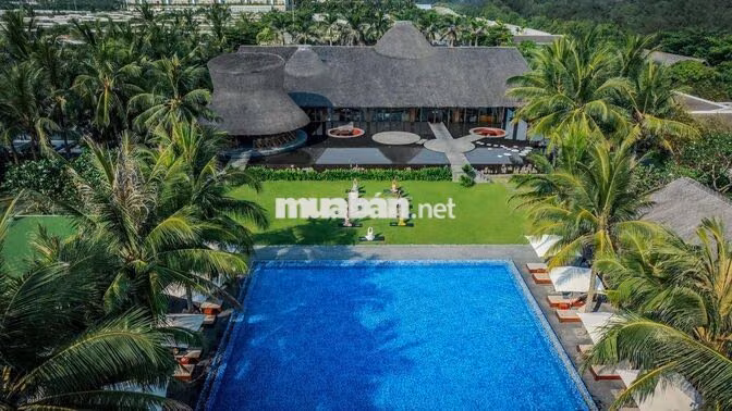 CHUYÊN VIÊN THỦ TỤC HỢP ĐỒNG