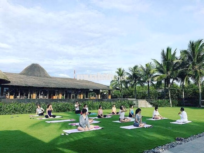 CHUYÊN VIÊN THỦ TỤC HỢP ĐỒNG
