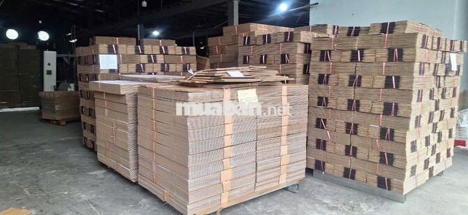 Tuyển dụng thợ / LDPT ngành bao bì carton