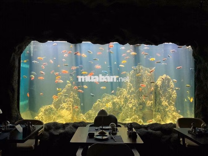 NHÀ HÀNG SANGO SUSHI Q3 TUYỂN DỤNG