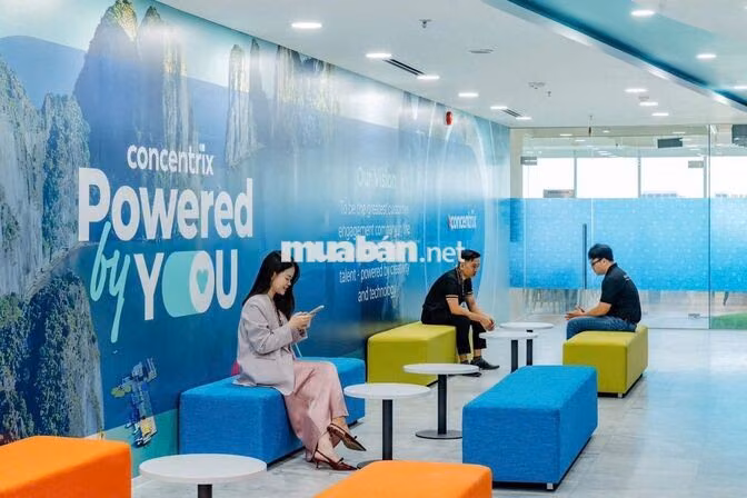TUYỂN CSKH TIẾNG ANH | APP VÉ MÁY BAY (QUẬN 12)