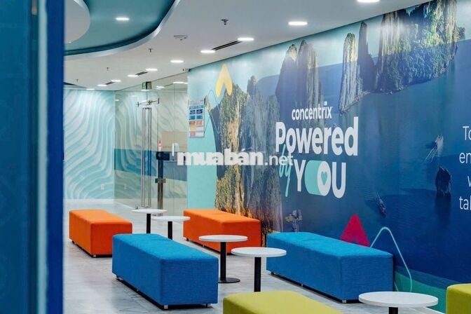 Tuyển CSKH Tiếng Anh | Full ca đêm (Quận 12)