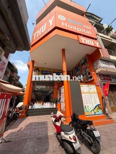 tuyển tài xế ship, cty có sẳn xe, đưa đón chó mèo