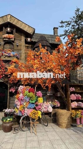 Mâm Quận 12 tuyển 2 vị trí: PHỤC VỤ và PHA CHẾ