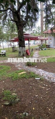 TUYỂN NHÂN VIÊN PHỤC VỤ - có bao ăn, ở.
