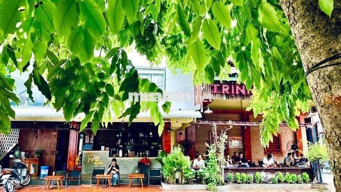 tuyển dụng pha chế phục vụ