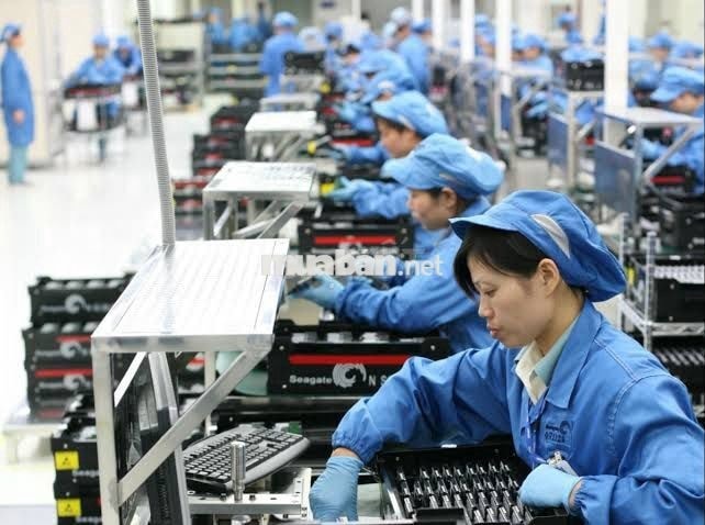 🚨 FOXLINK ĐÀ NẴNG🚨 ĐANG CÓ CHÍNH SÁCH THƯỞNG